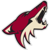 Arizona Coyotes 