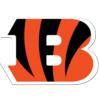 Cincinnati Bengals 